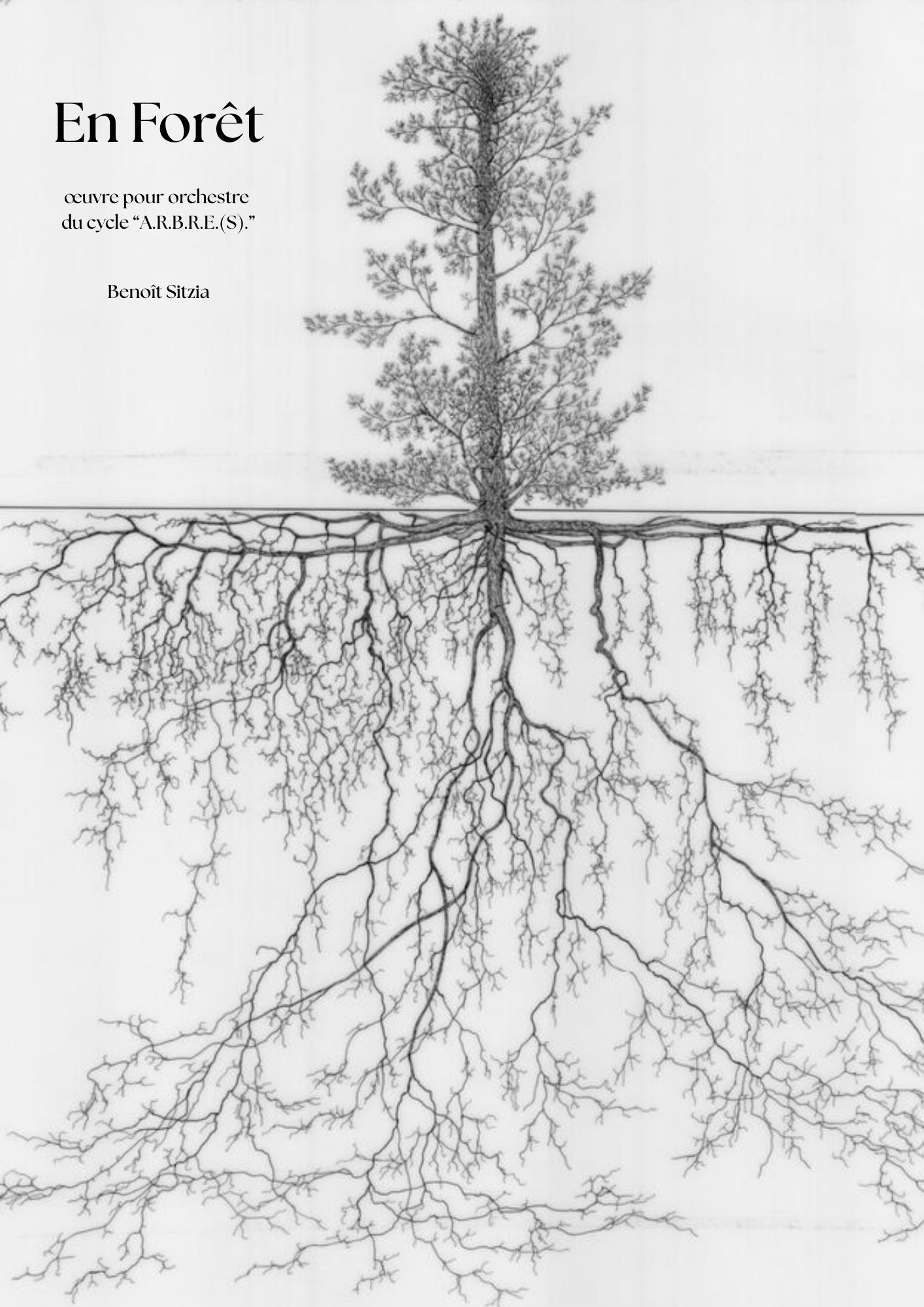 En forêt - Benoît Sitzia